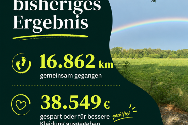 Ergebnis 1
