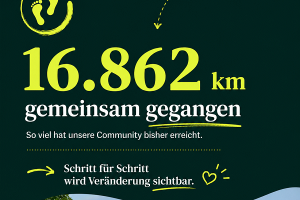 Ergebnis 2